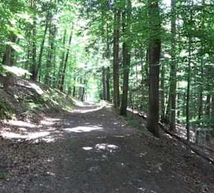Schutzgebiet Spitzberg, Pfaffenberg