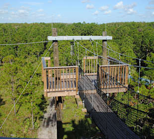 Zipline Safari