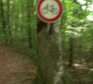 Wanderrunde Emeringen zum Rechtenstein