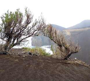 Ponta dos Capelinhos