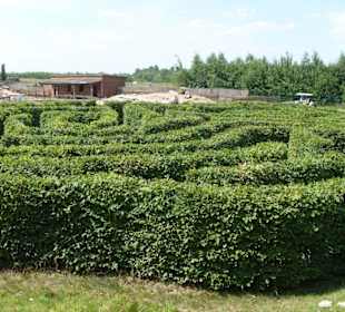 Labyrinth von Avalon