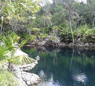 Lagune in der Schweinebucht