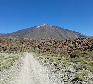 Trekking Teide