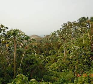 Samana 600 Meter Höhe