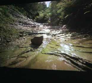 Naturparkzentrum Ruhestein