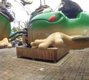 Fantasy - Der lustige Papagei