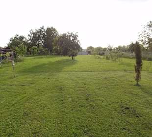 Blick in Richtung Naturschutzgebiet Taubergießen