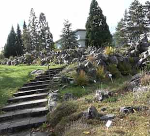 Alpinum