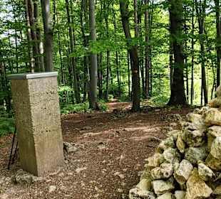 Am Buchkogel (550 m )