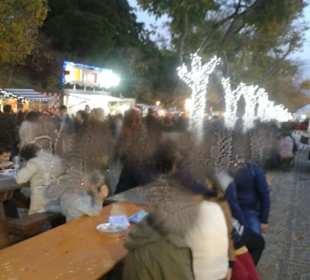 Eine geschmückte Allee. 