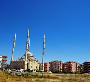 Die Moschee mit Rückfahrt Manavgat