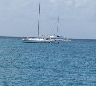 Katamarane im Doppelpack