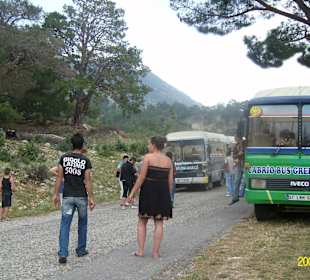 Cabrio Bus Tour