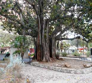 Park der Villa Mazzini