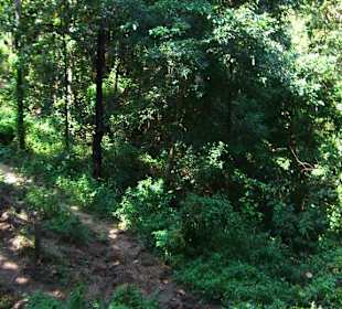 All'interno del parco