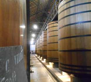 Real Companhia Velha