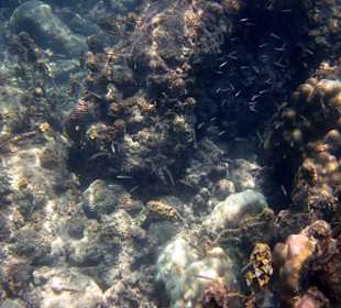 Underwater, fast am Hotelbeach