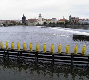 Мала страна