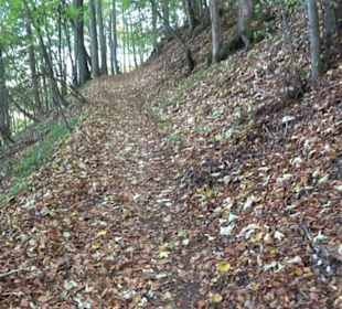 Premiumwanderweg hochgehkeltert Neuffen