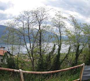 Blick von Plesio auf den See