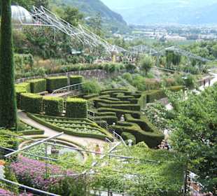 Labirinto fatto di siepi