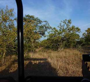 Krüger Nationalpark