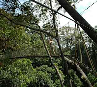 Canopy-Walkway