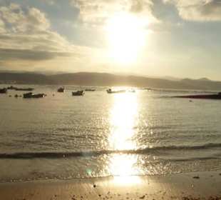 Die Playa de las Canteras von Las Palmas