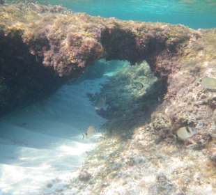 Perfekte Wasserqualität