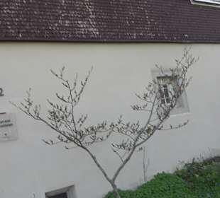 Evangelisches Pfarramt Ennabeuren