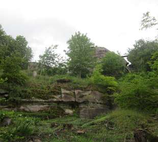 Burgruine Löwenstein