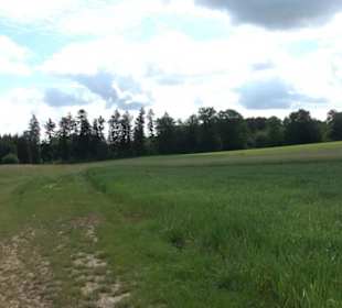 Premiumwanderweg "hochgehackert"