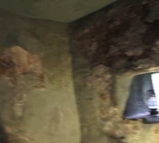 Schlössle von Effringen