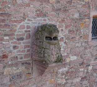 Schloss Ein- und Ausblicke