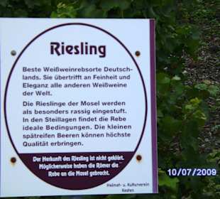 Weinlehrpfad