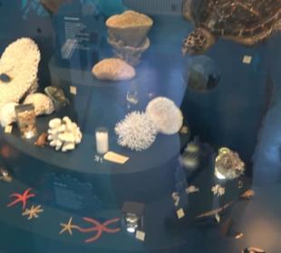 Museum für Naturkunde