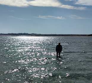 Schnorcheln Hurghada