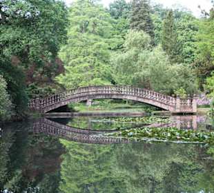 Die Brücke und der See