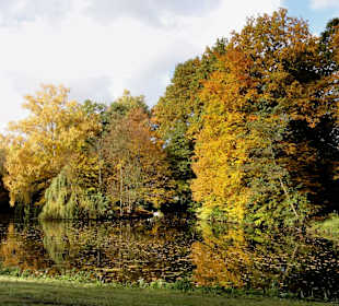Herbstspaziergang durch den Bürgerpark Bremen