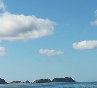 Strand Paguera/Peguera