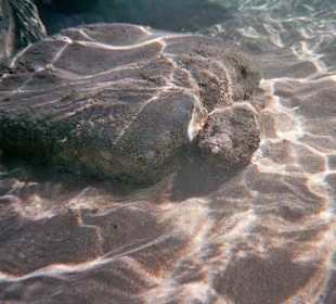 Drachenkopf am Riffeinstieg