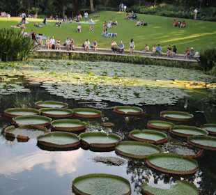 Botanischer Garten Singapur