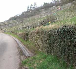 Unterjesinger Wengertwegle