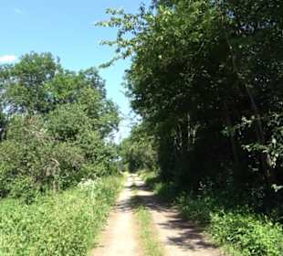 Eduard Lucas Musterobstgarten Mähringen