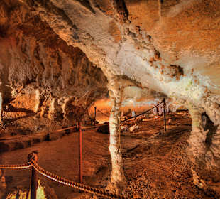 Cuevas de Urdax