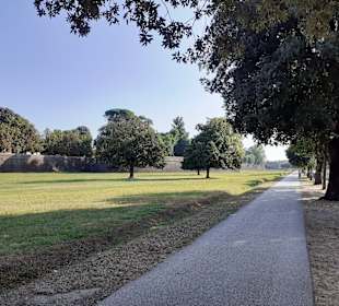Stadtmauer Lucca