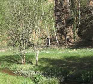 Gartenschau