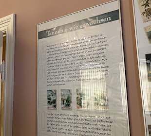 Weihnachtshaus Husum