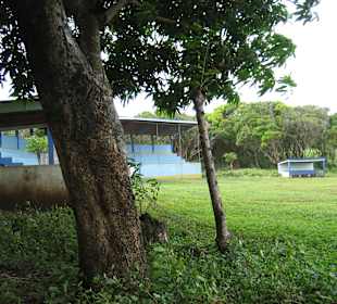 Baseballfeld von Little Corn Island