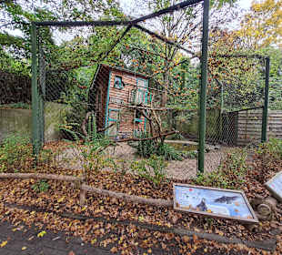 Zoo Hannover 